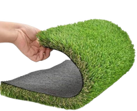 Garden Lawn
