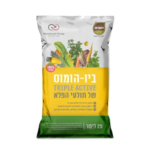 הומוס