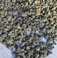 Crushed Tuff Bag Main image