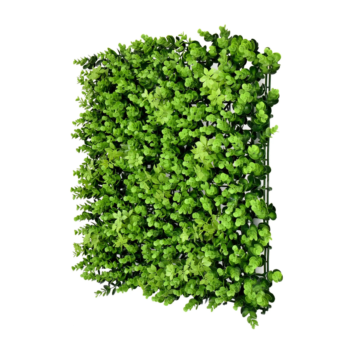 Eucalyptus Green Wall 50cm*50cm