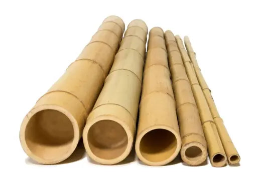 Bamboo Pole 120-150mm 5.9m