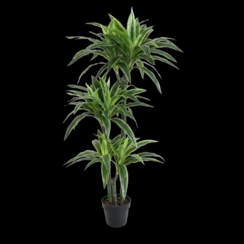 Artificial Dracaena Tree Height 120 cm